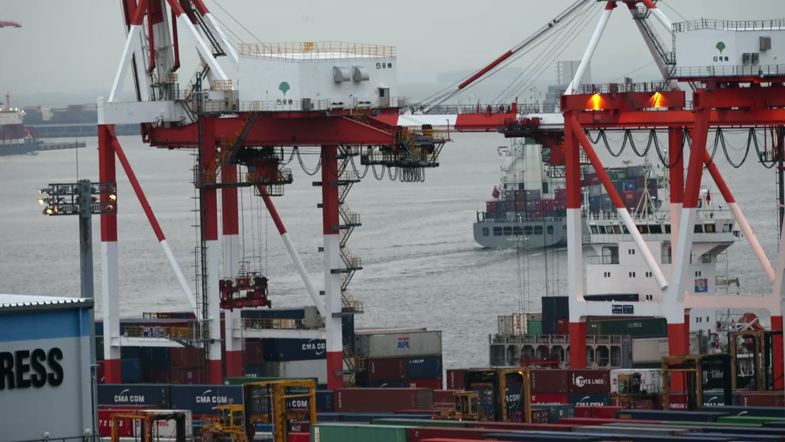 Container cranes at the terminal where your goods change hands.